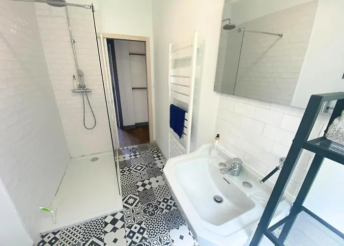 Le Grand Cerf - - Gare Apartment Poitiers